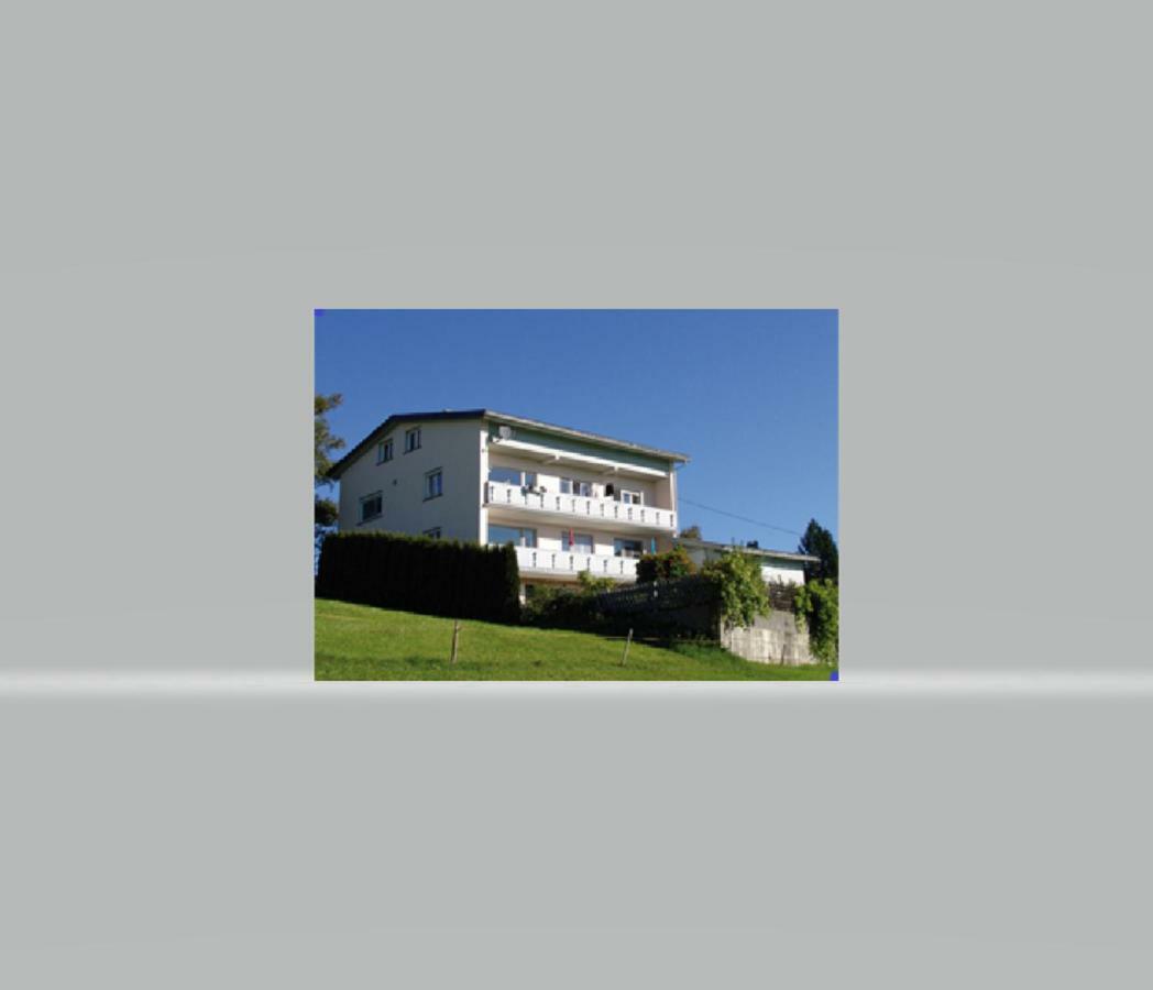 Apartmán Haus Homann Sulzberg  Exteriér fotografie